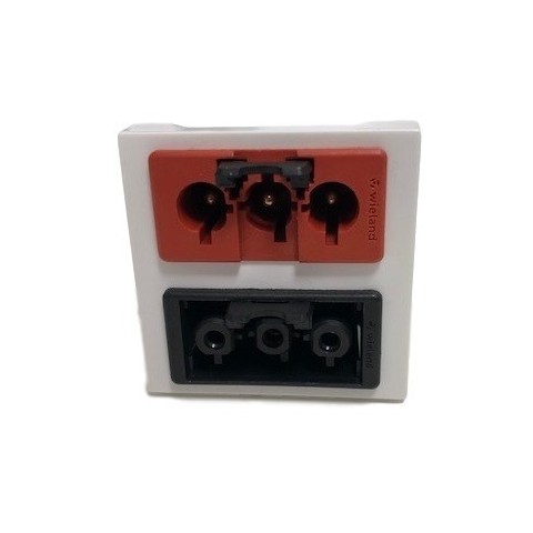 Modulo 45x45 para 2 tomas rapidas Wieland o Wago  