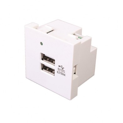Modulo 45x45 con 2 Cargadores USB-A 5V/2 1A Bla Modulo 45x45 con 2 Cargadores USB-A 5V/2 1A Bla