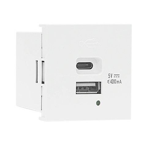 Modulo 45x45 con 2 Cargadores USB A+C (5V/4.2A). Blanco/4