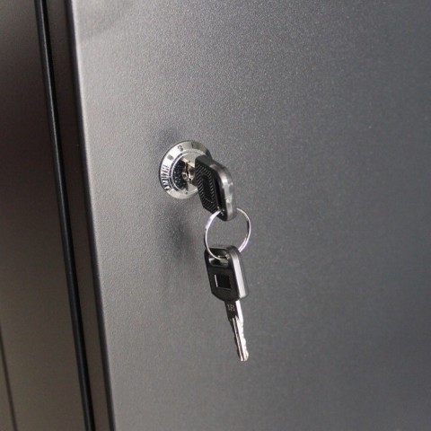 RACK Mural de 19" x 9U x 600. Laterales desmontables. Color Negro