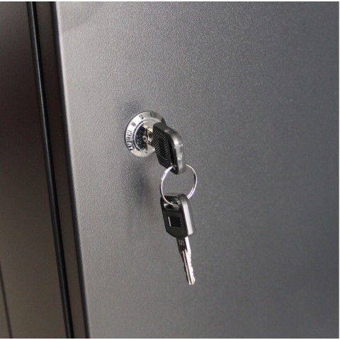 RACK Mural de 19" x 6U x 450. Laterales desmontables. Color Negro
