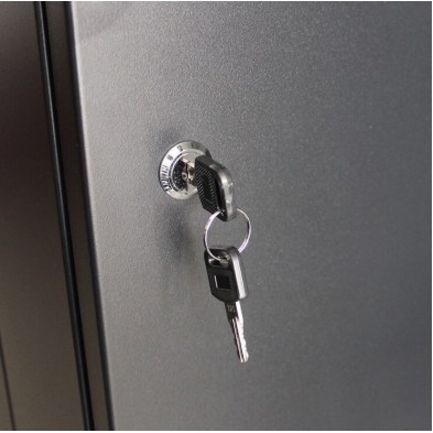 RACK Mural de 19  x 6U x 450  Laterales desmontabl