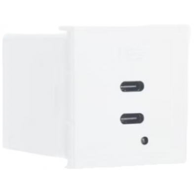 Modulo 45x45 con 2 Cargadores USB C+C (65W). Blanco/4