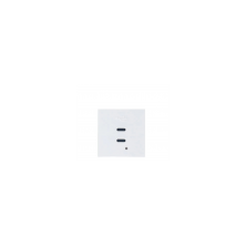 Modulo 45x45 con 2 Cargadores USB C+C (65W). Blanco/4
