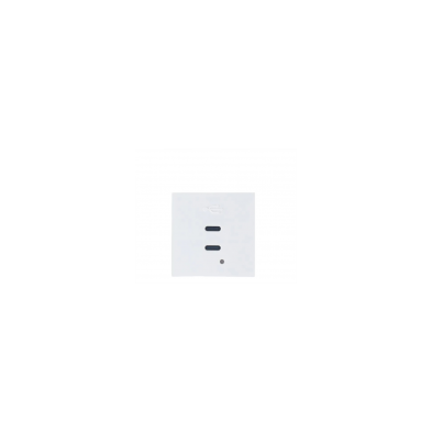 Modulo 45x45 con 2 Cargadores USB C+C (65W). Blanco/4
