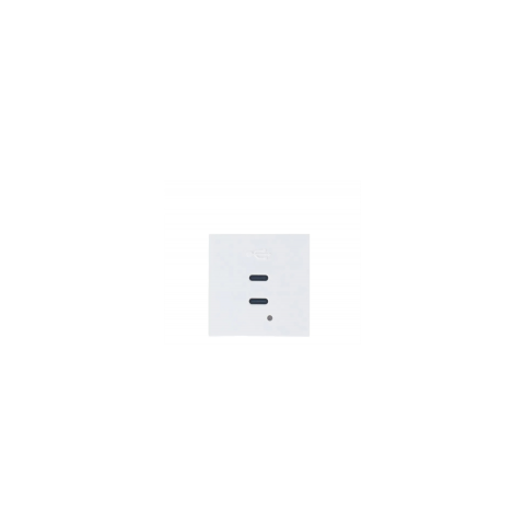 Modulo 45x45 con 2 Cargadores USB C+C (65W). Blanco/4