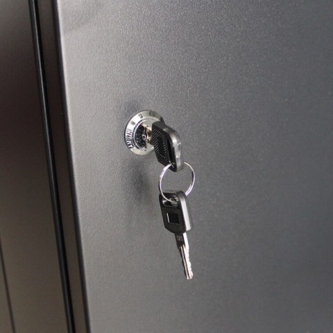 RACK Mural de 19  x 9U x 450  Laterales desmontabl